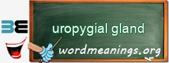 WordMeaning blackboard for uropygial gland